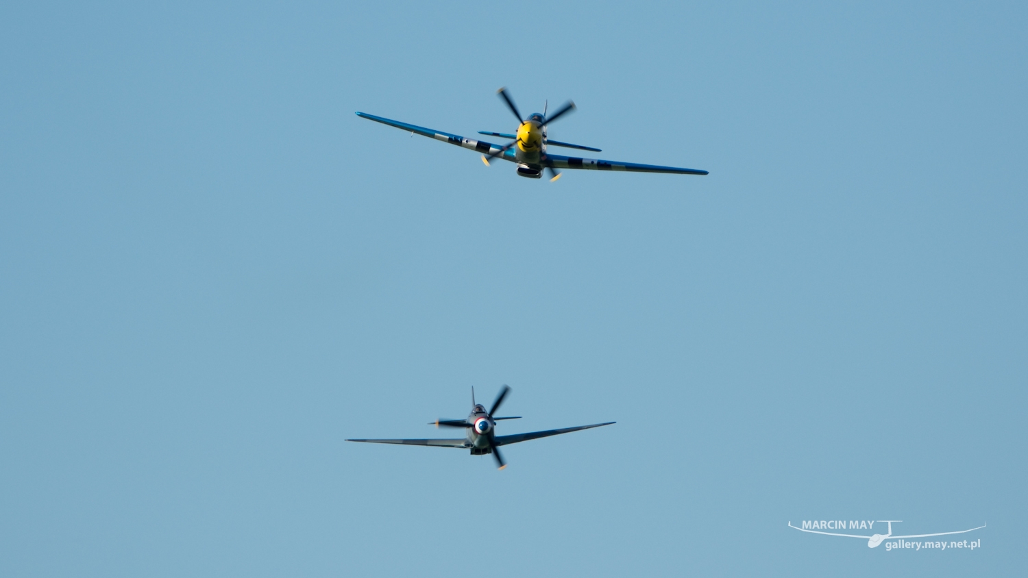 piknik-leszno-2016_zdj-271-DSC_4570
