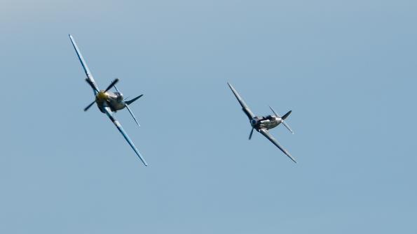 piknik-leszno-2016_zdj-272-DSC_4597