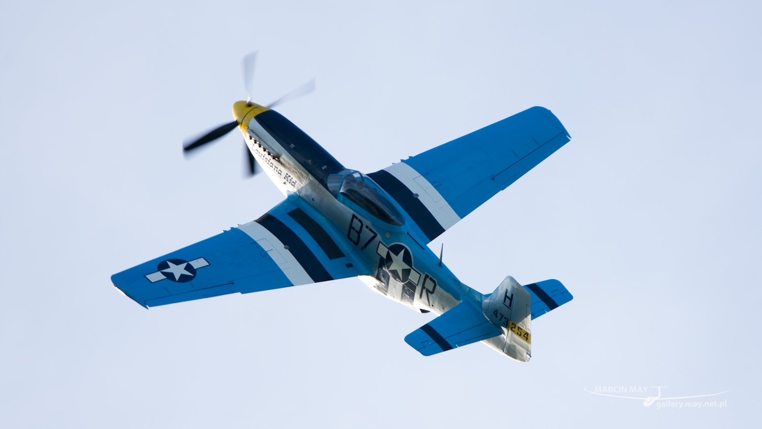 piknik-leszno-2016_zdj-275-DSC_4660