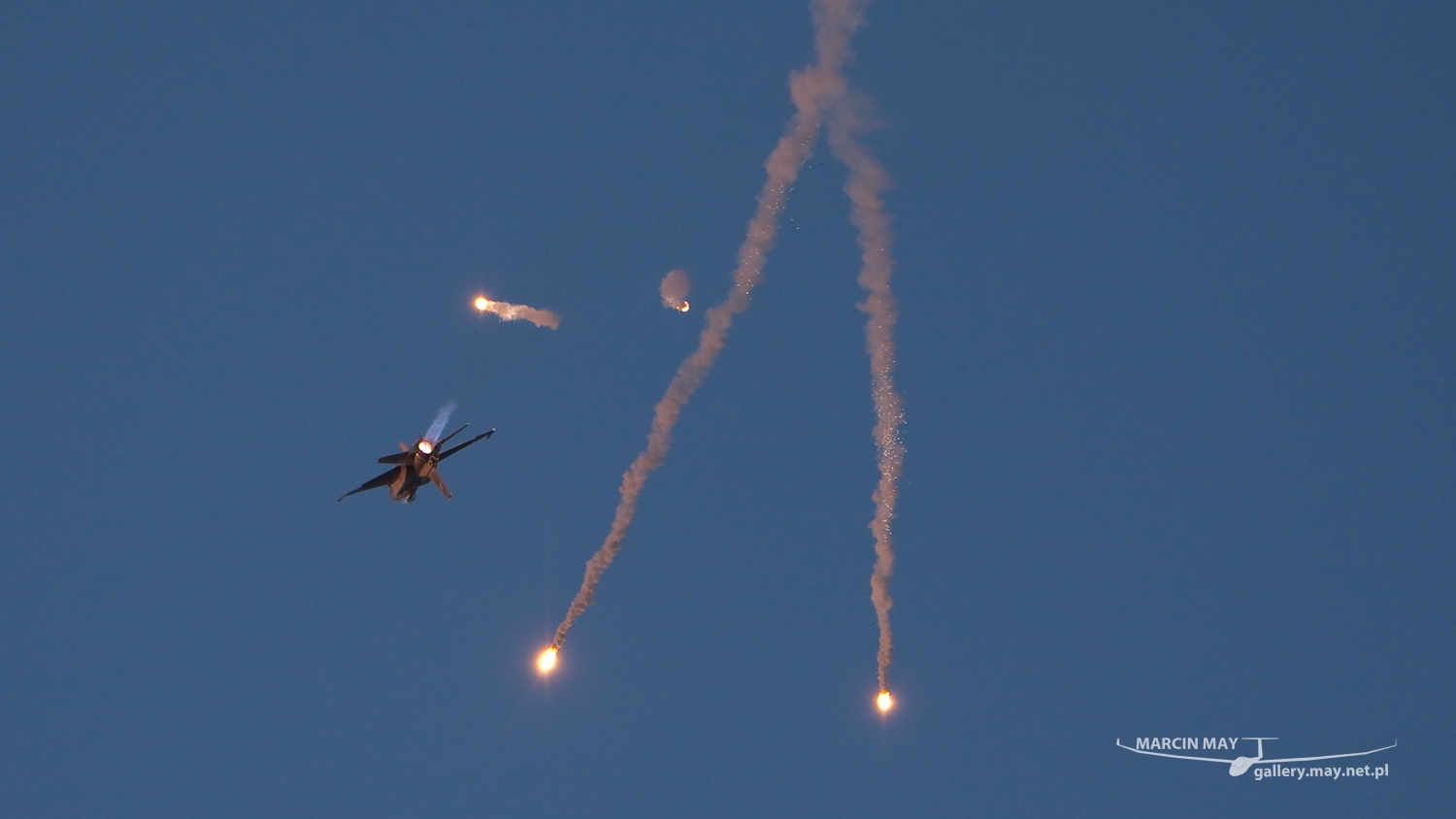 piknik-leszno-2016_zdj-286-DSC_4816