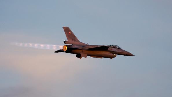 piknik-leszno-2016_zdj-295-DSC_4996