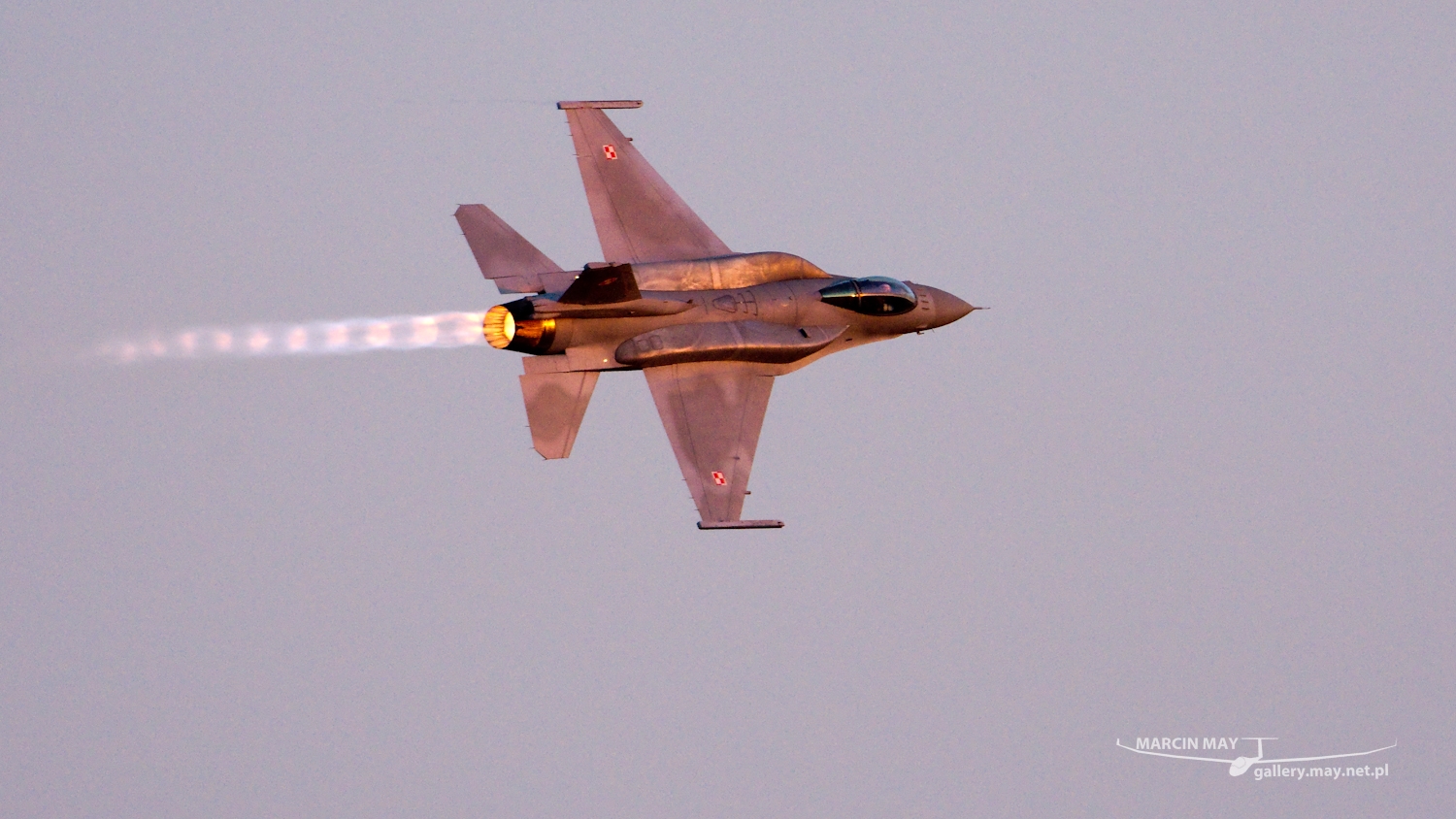 piknik-leszno-2016_zdj-296-DSC_5001