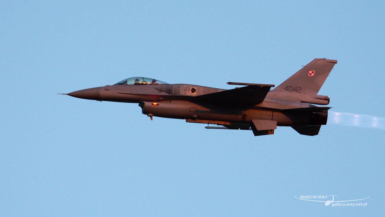 piknik-leszno-2016_zdj-300-DSC_5186