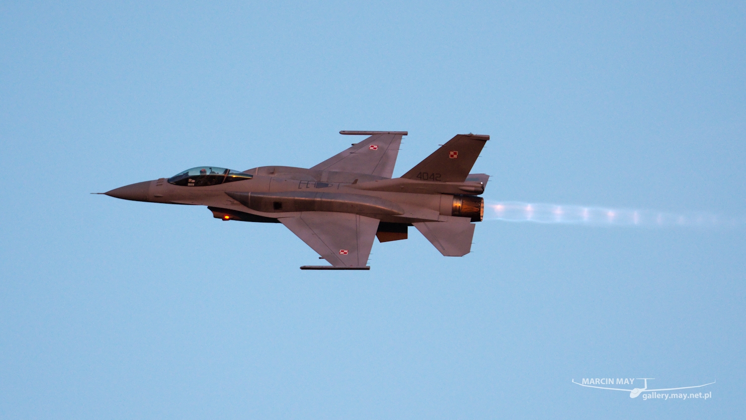 piknik-leszno-2016_zdj-301-DSC_5189