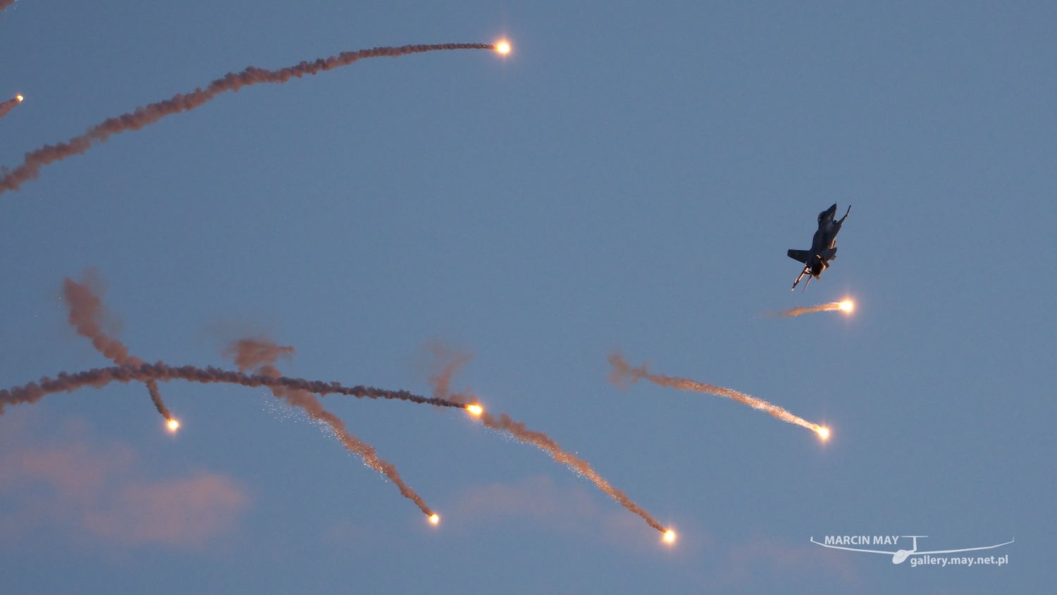 piknik-leszno-2016_zdj-304-DSC_5242