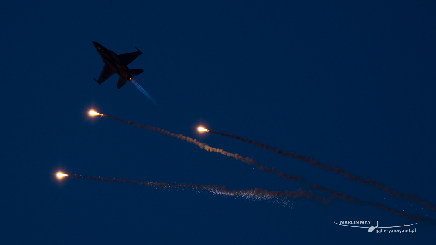 piknik-leszno-2016_zdj-312-DSC_5344