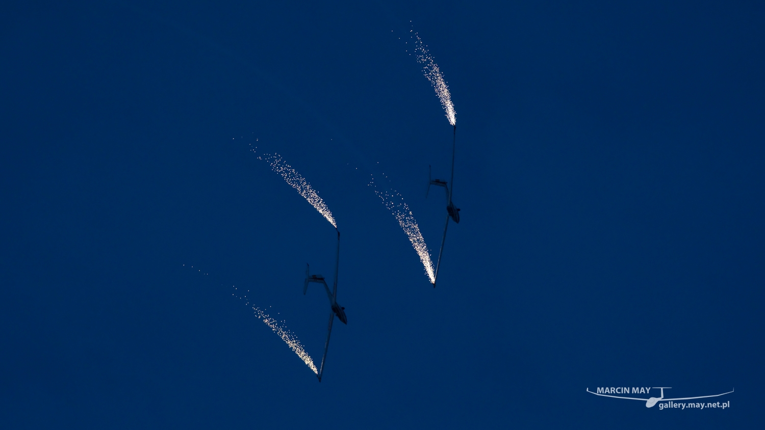 piknik-leszno-2016_zdj-314-DSC_5372