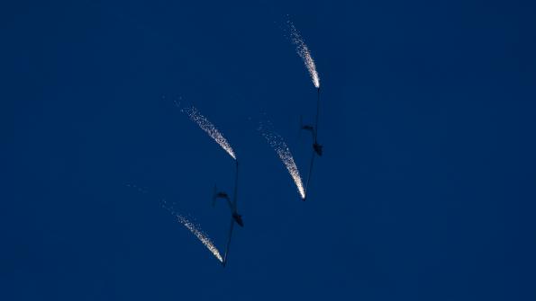 piknik-leszno-2016_zdj-314-DSC_5372