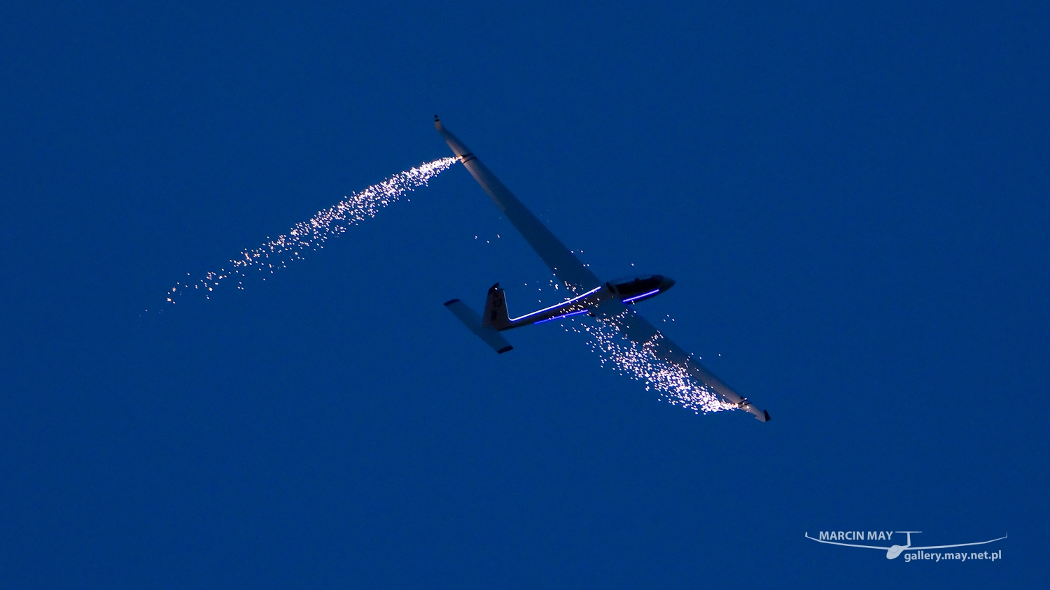 piknik-leszno-2016_zdj-321-DSC_5471