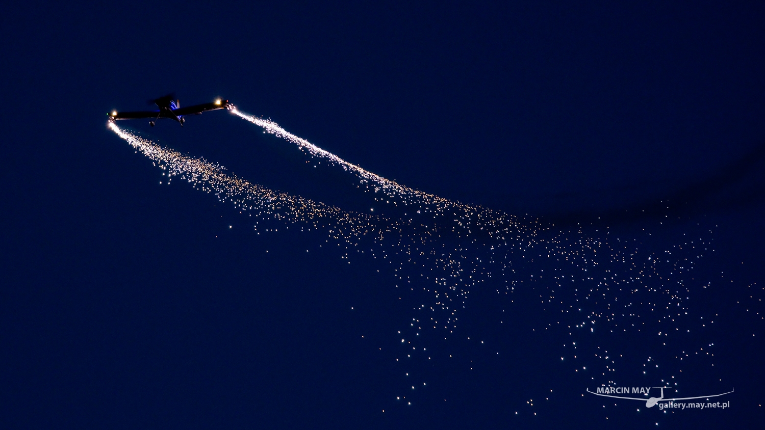 piknik-leszno-2016_zdj-331-DSC_5686