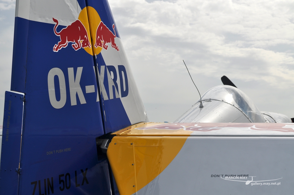 PiknikLeszno2012-zdj002-DSC_0020