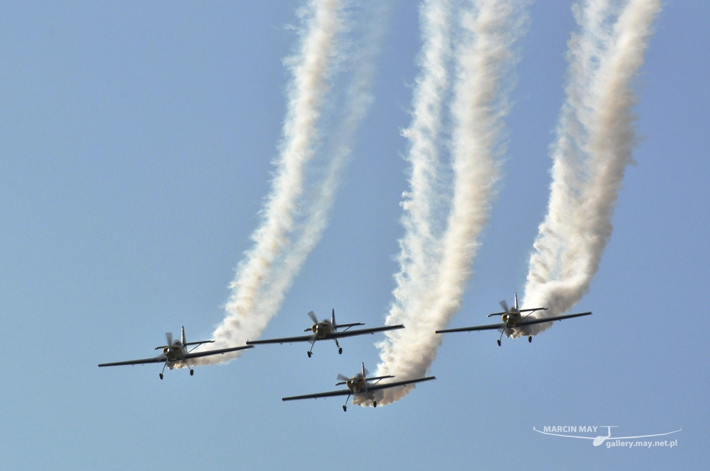 PiknikLeszno2012-zdj004-DSC_0030