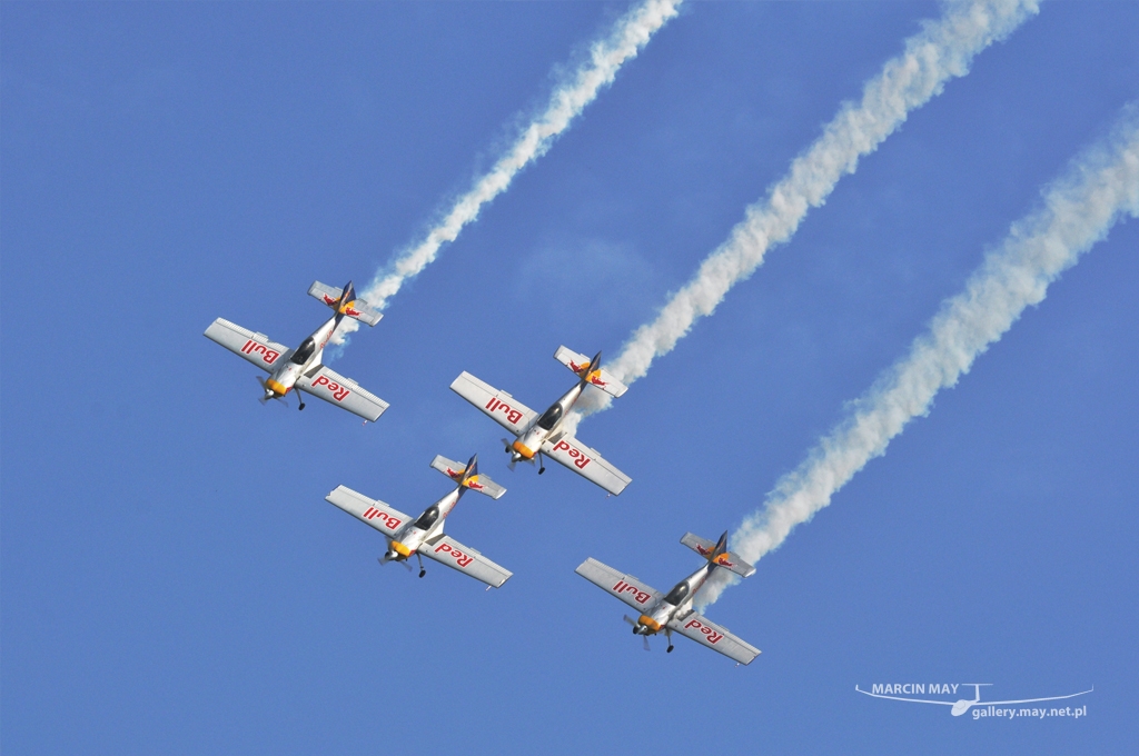 PiknikLeszno2012-zdj005-DSC_0043