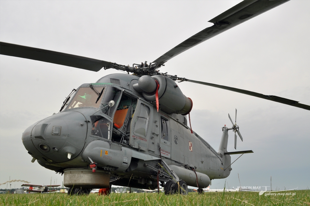 PiknikLeszno2012-zdj007-DSC_0066