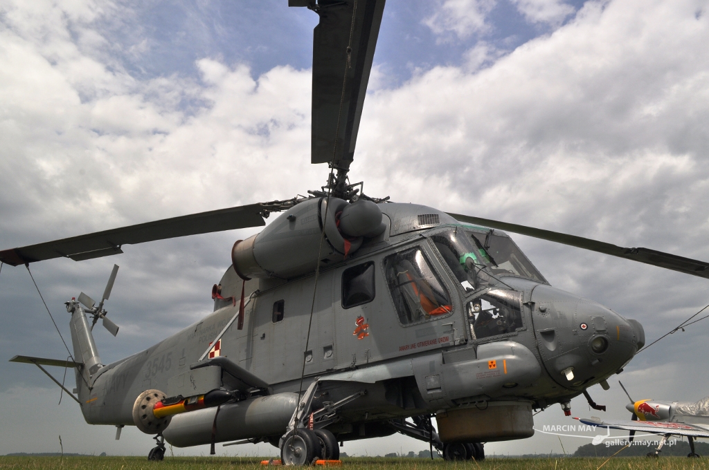 PiknikLeszno2012-zdj021-DSC_0200