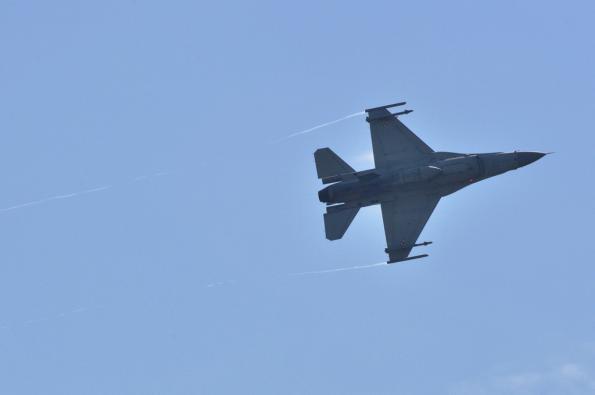 PiknikLeszno2012-zdj039-DSC_0536