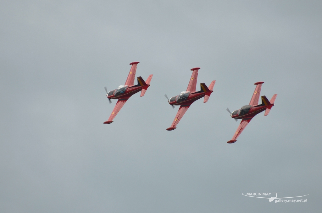 PiknikLeszno2013-zdj001-DSC_0336