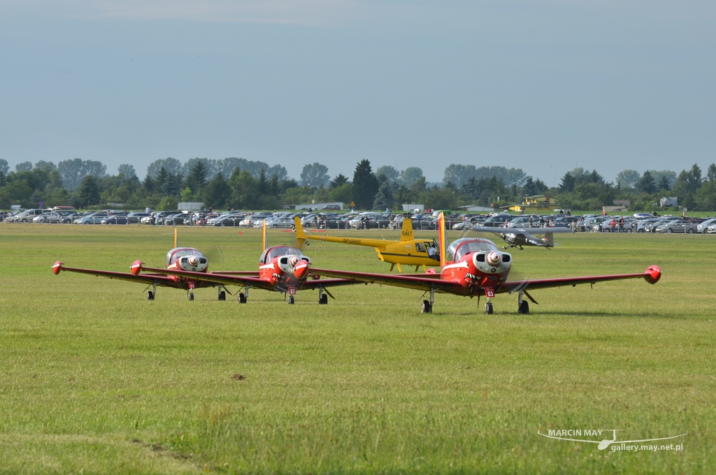 PiknikLeszno2013-zdj002-DSC_0472