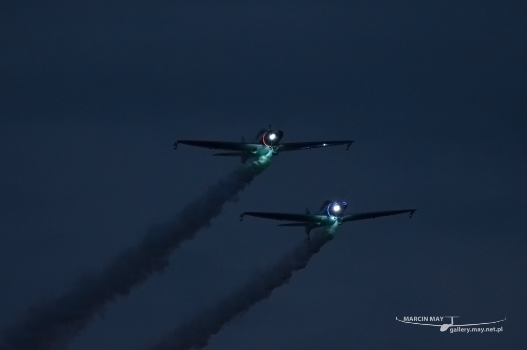 PiknikLeszno2013-zdj005-DSC_0879