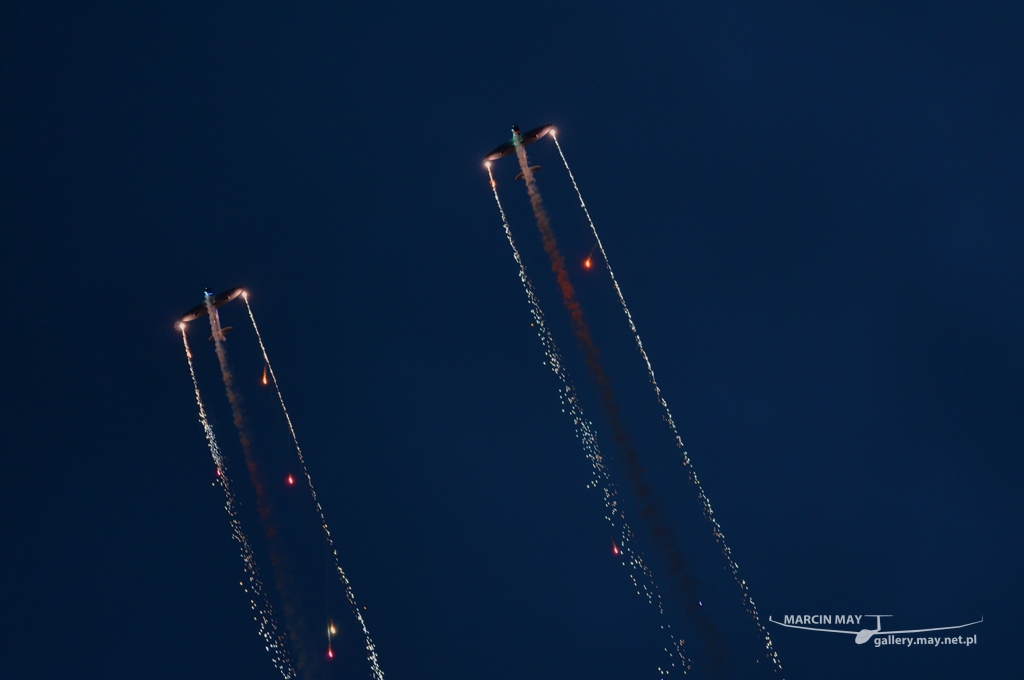 PiknikLeszno2013-zdj008-DSC_0935