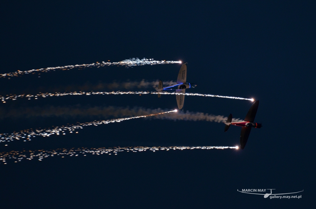 PiknikLeszno2013-zdj011-DSC_1003