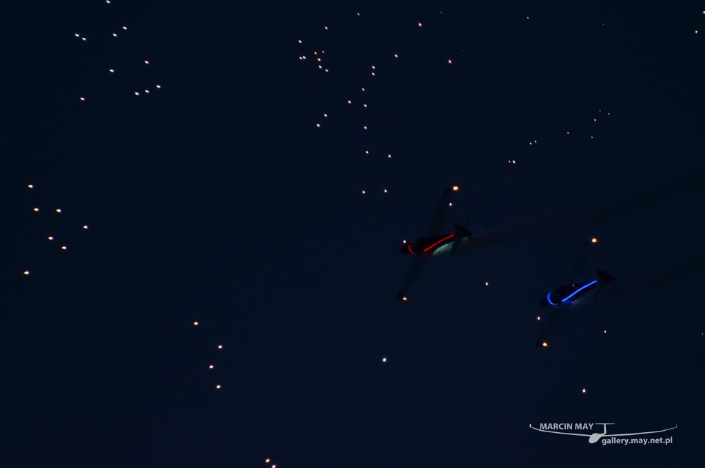 PiknikLeszno2013-zdj016-DSC_1106