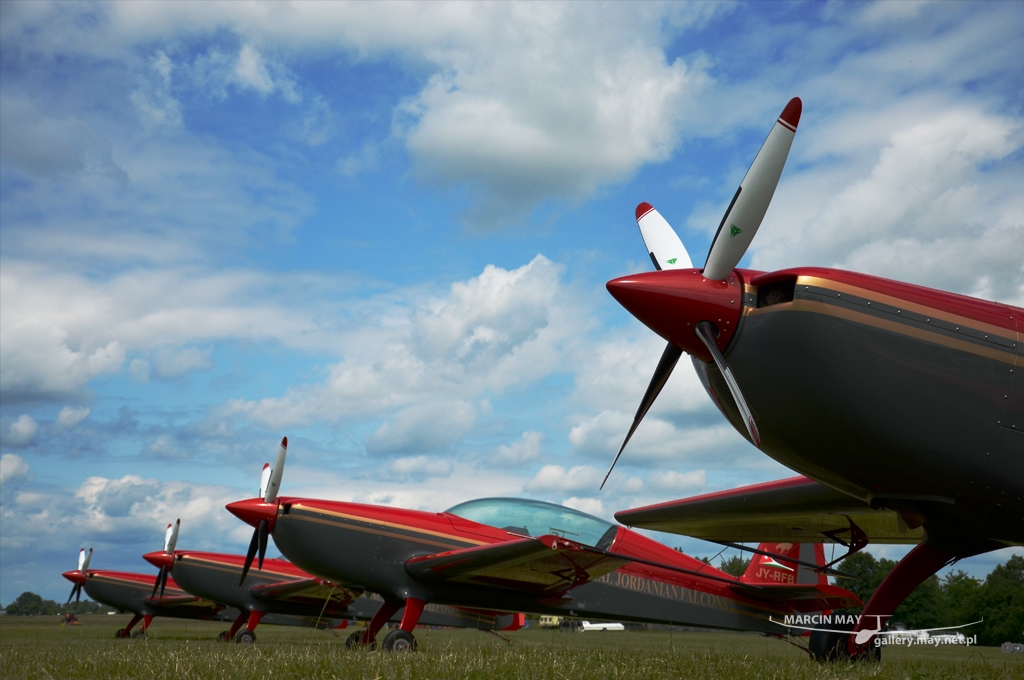 PiknikLeszno2013-zdj018-DSC_3134