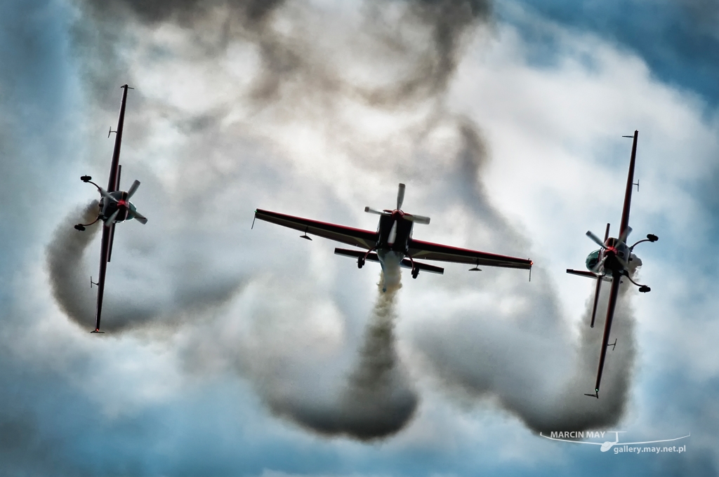 PiknikLeszno2013-zdj026-DSC_3603