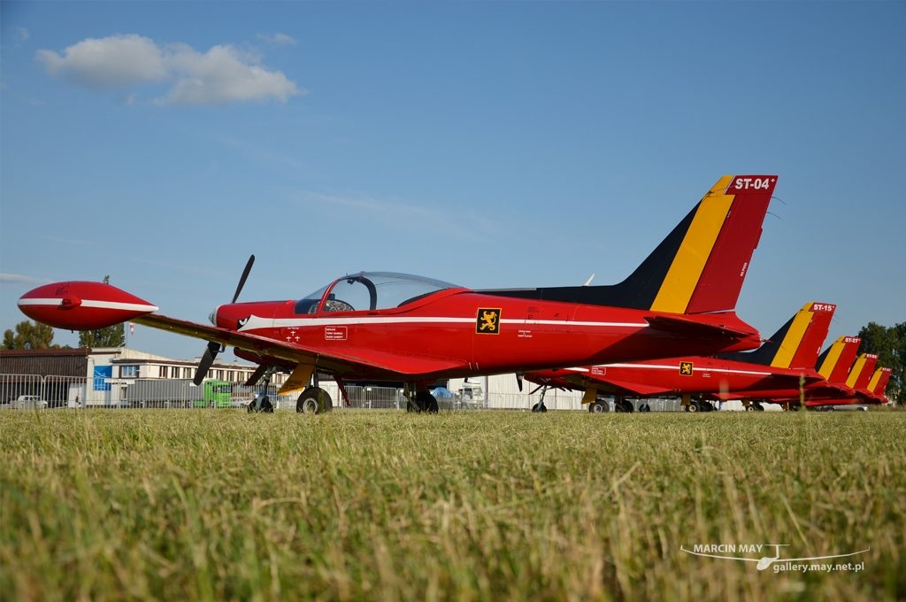 PiknikLeszno2013-zdj030-DSC_4165