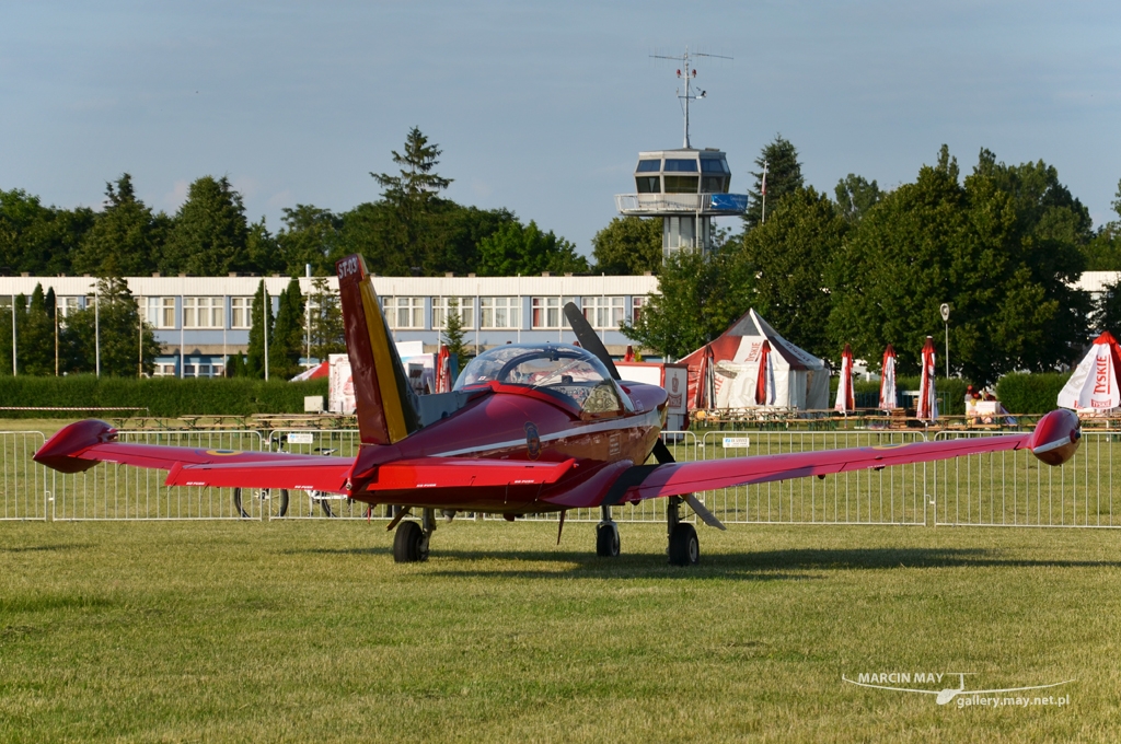 PiknikLeszno2013-zdj031-DSC_4191