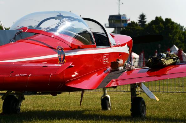 PiknikLeszno2013-zdj032-DSC_4250