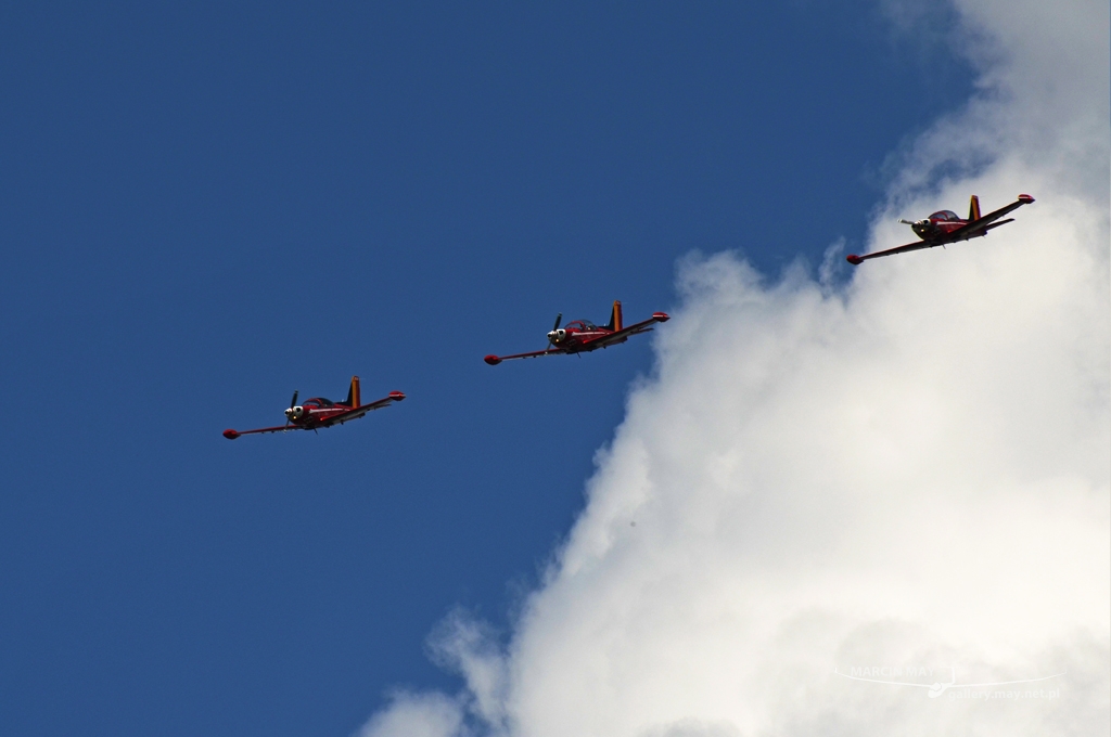 PiknikLeszno2013-zdj039-DSC_4651