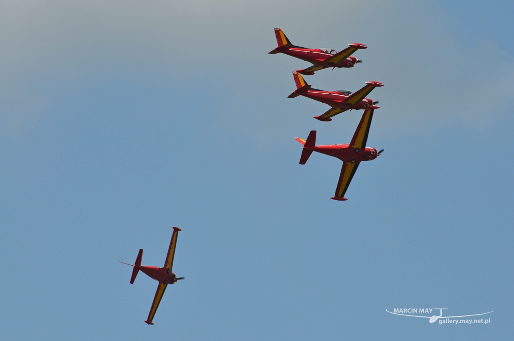 PiknikLeszno2013-zdj043-DSC_5001