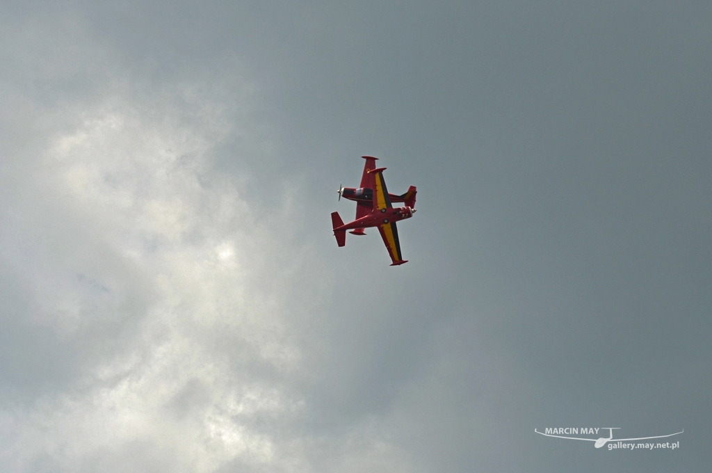 PiknikLeszno2013-zdj044-DSC_5037