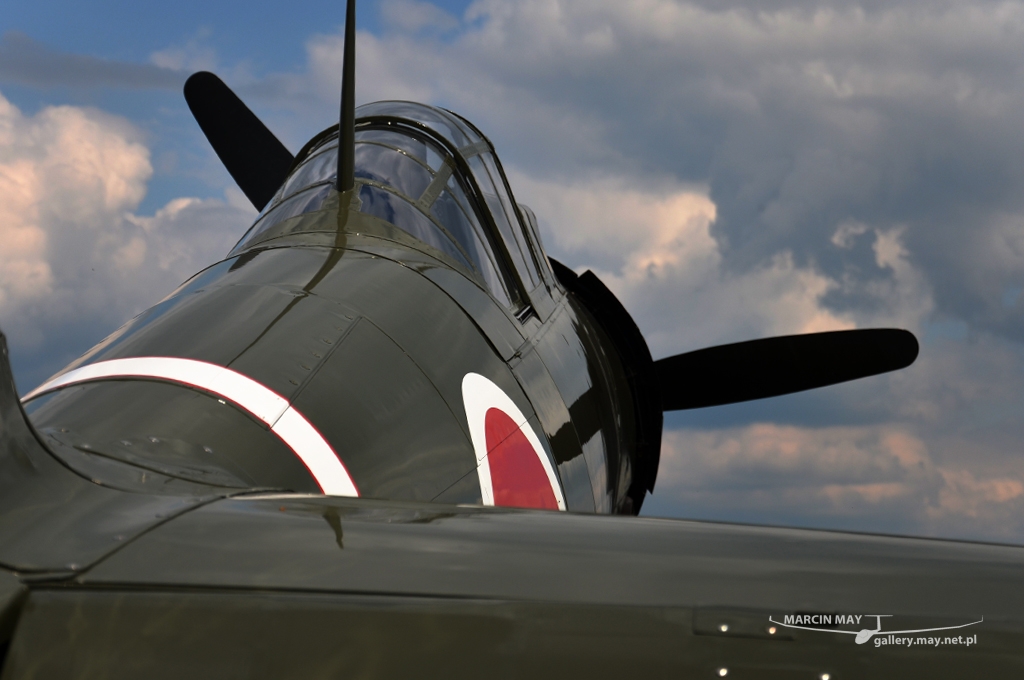 PiknikLeszno2013-zdj045-DSC_5188