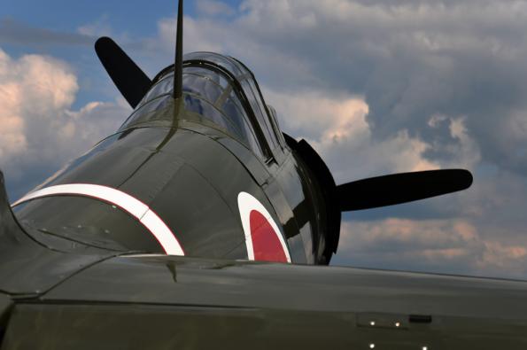 PiknikLeszno2013-zdj045-DSC_5188