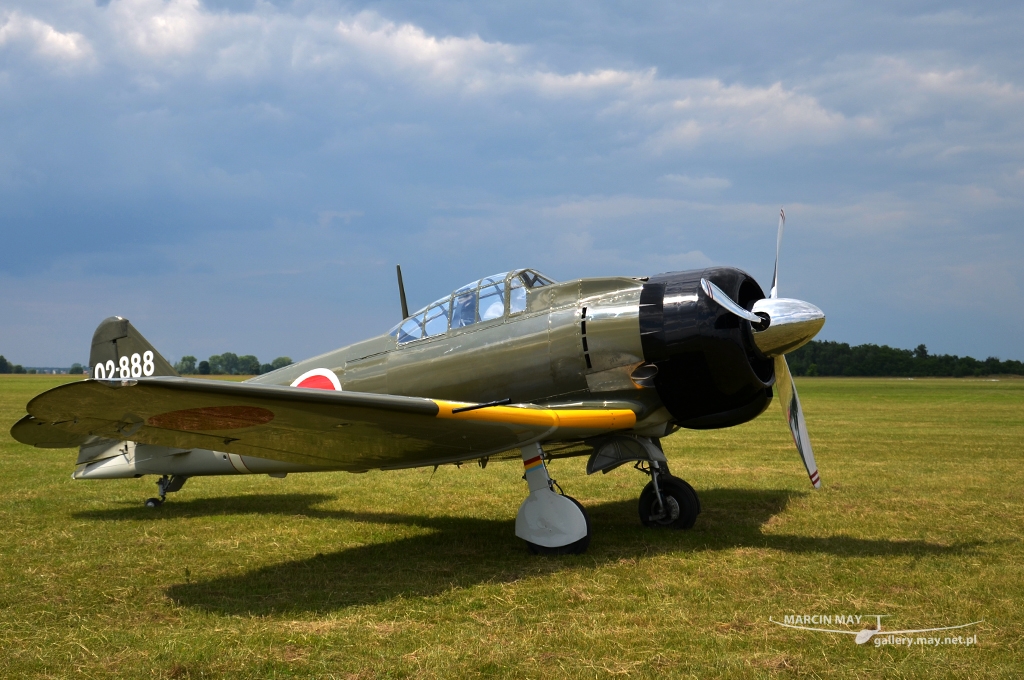 PiknikLeszno2013-zdj046-DSC_5192