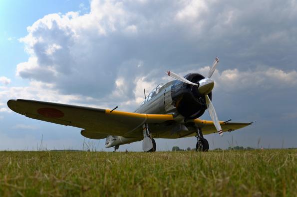 PiknikLeszno2013-zdj047-DSC_5197