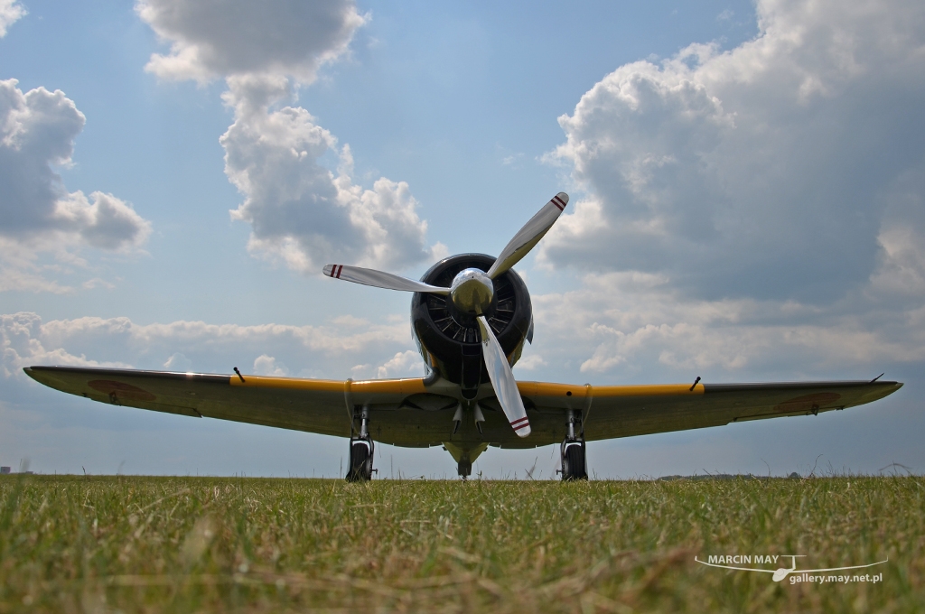 PiknikLeszno2013-zdj048-DSC_5198