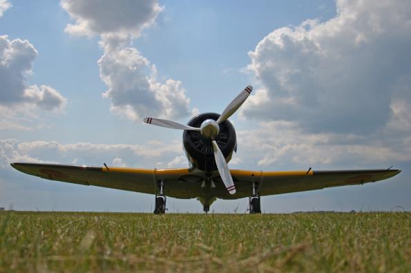 PiknikLeszno2013-zdj048-DSC_5198