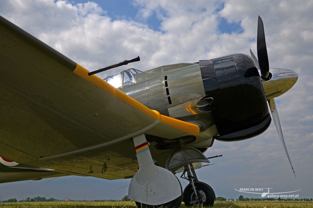 PiknikLeszno2013-zdj050-DSC_5231