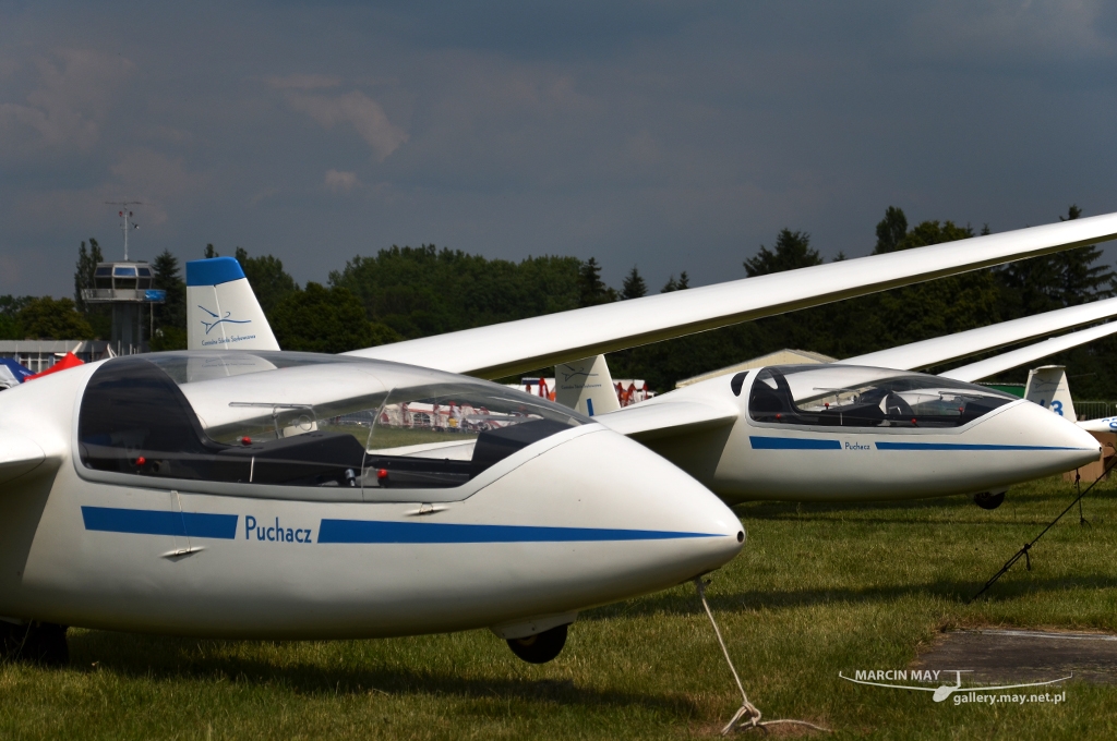 PiknikLeszno2013-zdj051-DSC_5253