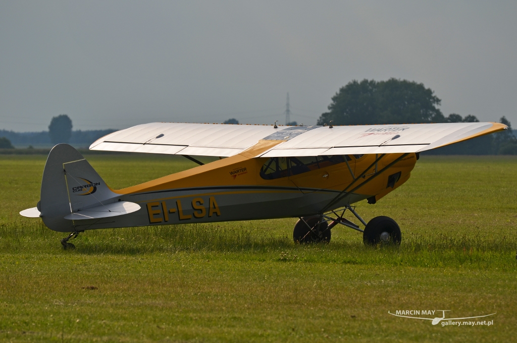 PiknikLeszno2013-zdj052-DSC_5388