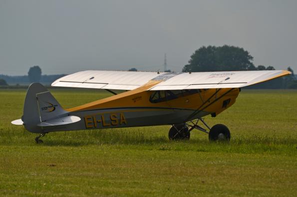 PiknikLeszno2013-zdj052-DSC_5388