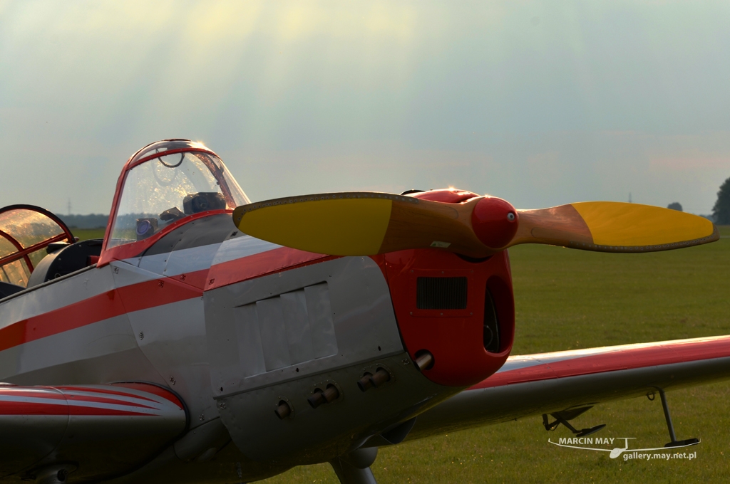 PiknikLeszno2013-zdj055-DSC_5530