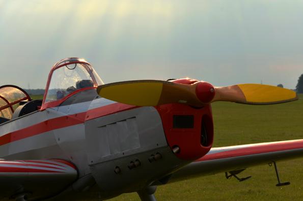 PiknikLeszno2013-zdj055-DSC_5530