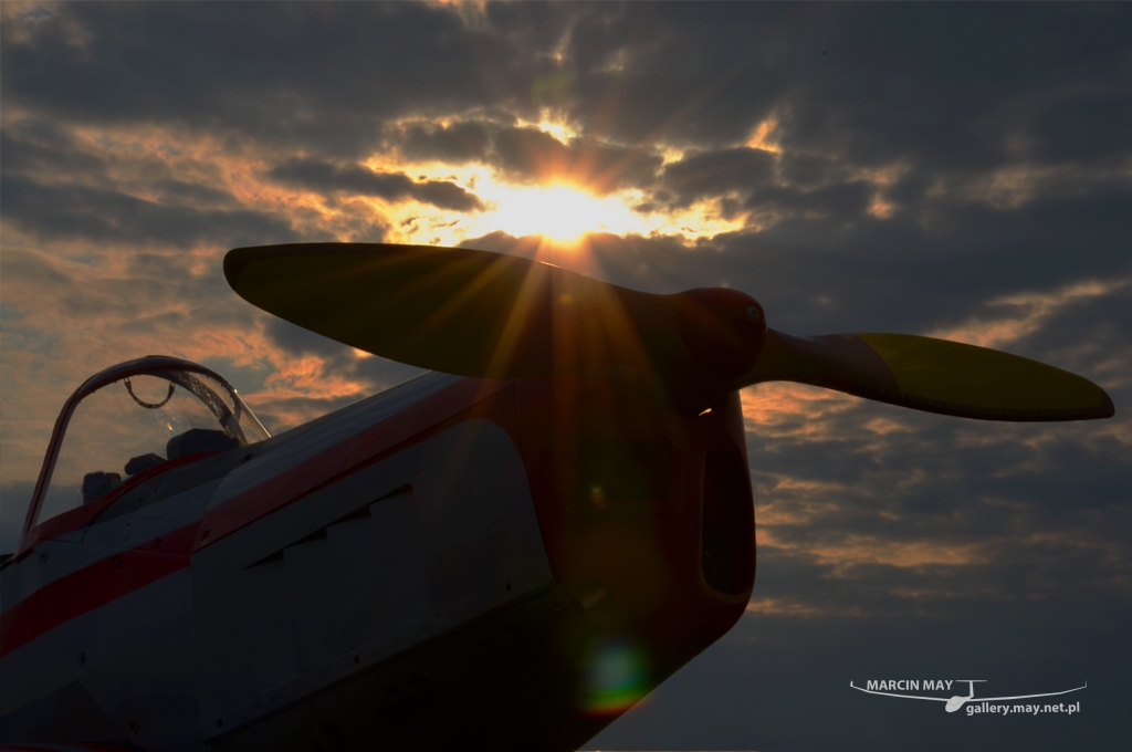 PiknikLeszno2013-zdj056-DSC_5532