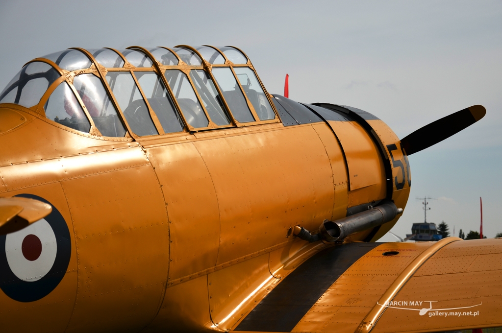 PiknikLeszno2013-zdj058-DSC_5906