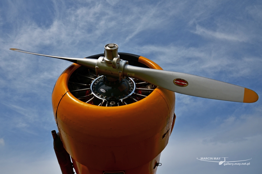 PiknikLeszno2013-zdj059-DSC_5911