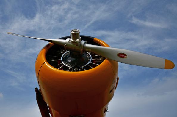 PiknikLeszno2013-zdj059-DSC_5911